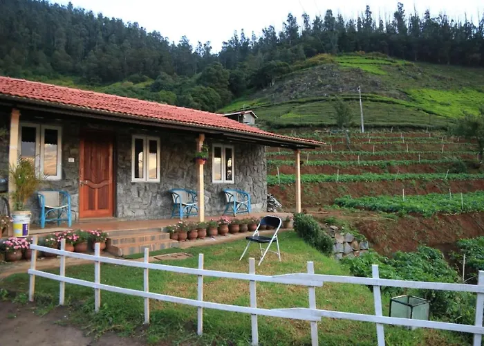 Wild And Free Farm Stay