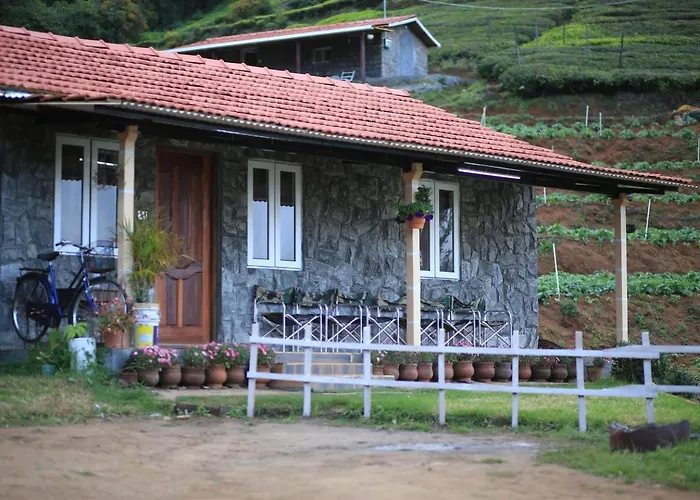 Wild And Free Farm Stay