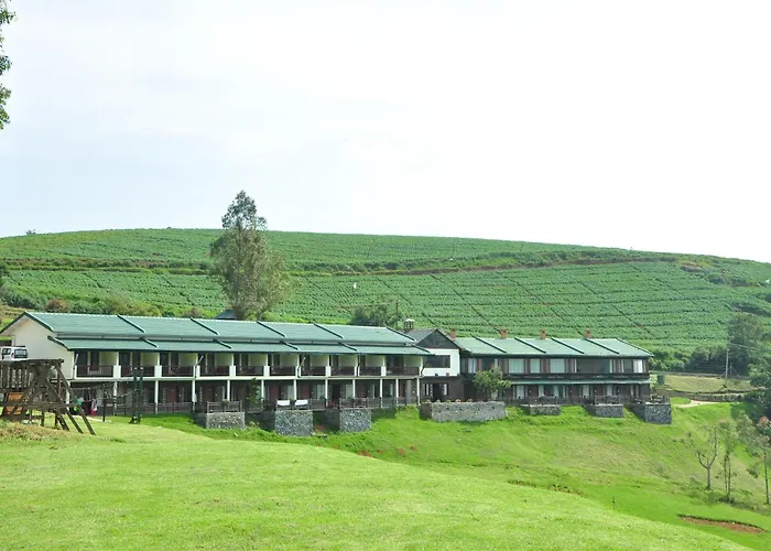 Destiny - The Farm Resort